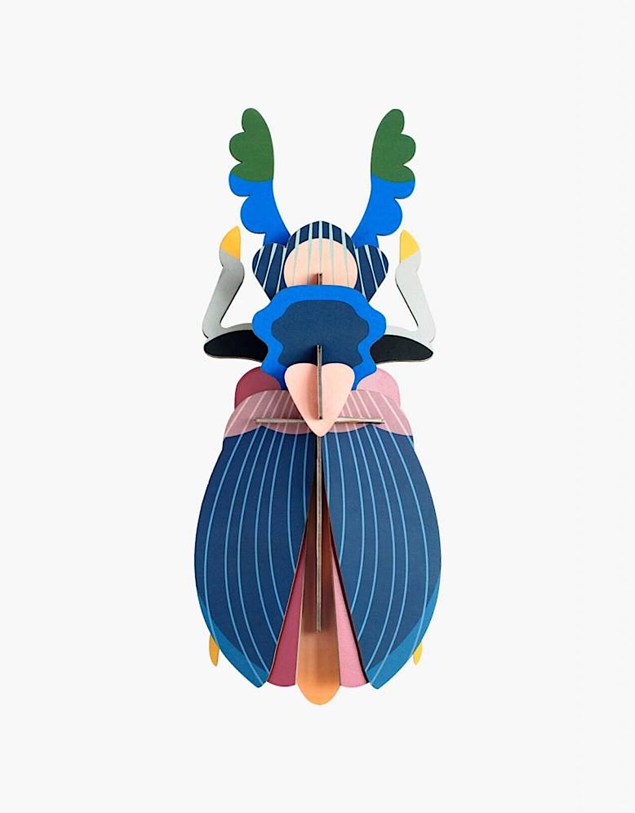 Cool insect moma japanese beetle.jpg